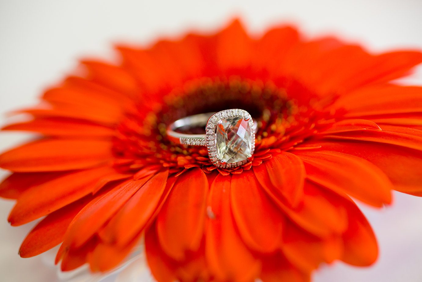 Diamond engagement ring 8 by 14 Karat Jewelers, Livonia Michigan